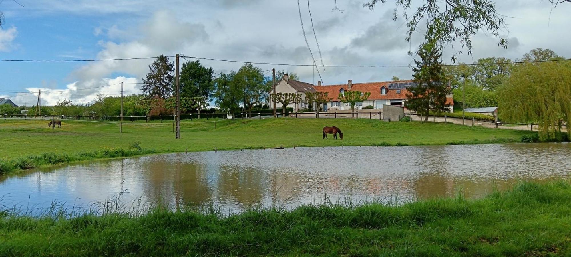 La Ferme Des Bigornes Hotel Châtillon-sur-Indre Exterior photo
